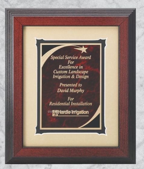Professional Gallery Award Plaques W/ Marble Shooting Star