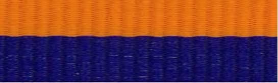 Snap Clip "V" Neck Ribbon 7/8"X32" - Blue / Orange