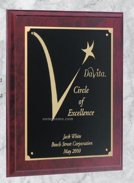 Professional Gallery Award Plaques W/ 2nd Brass Plate
