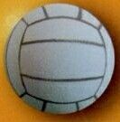 Cool Sports Standard Coolball Cool Volleyball Antenna Ball