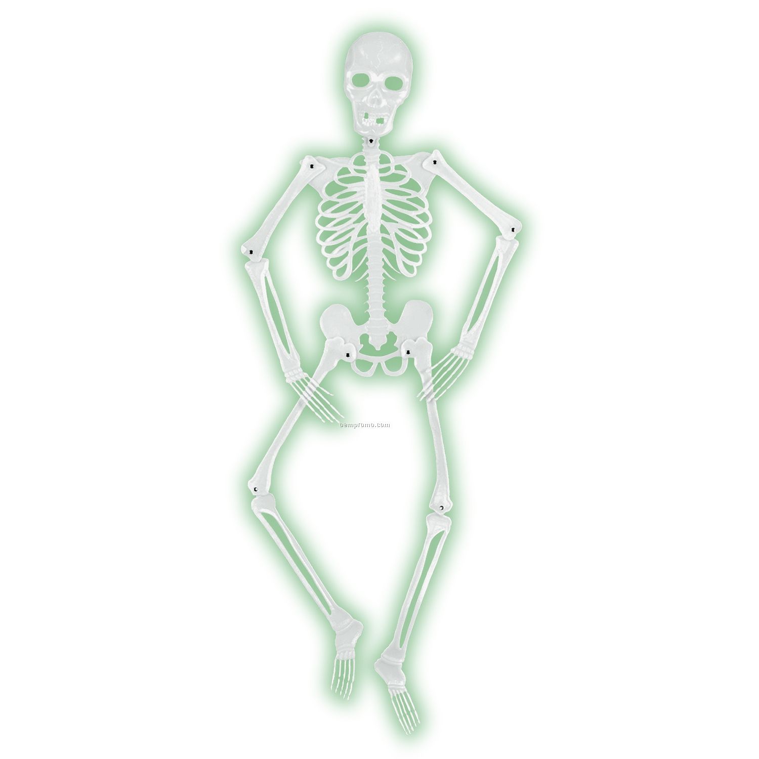 Mr. Bones-a-glo Skeleton
