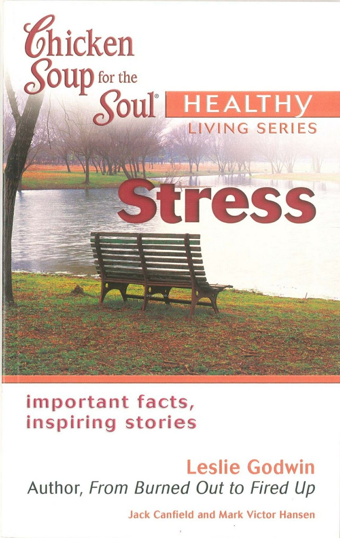 Chicken Soup For The Soul - Healthy Living Series - Stress