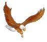 Stock Left Profile Flying Eagle Mascot Chenille Patch