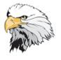 Stock Eagle Head Mascot Chenille Patch