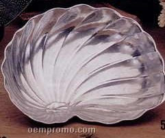 9"X6-1/2" Novella Large Chamber Nautilus Shell Dish