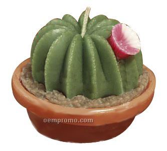Prickly Pear Candles