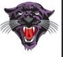 Stock Wildcat Mascot Chenille Patch