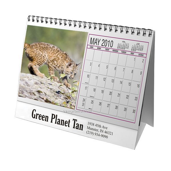 Desktop Flip Calendar (North American Wildlife)