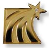 Sandblast Plated Lapel Pin With Hard Enamel Color Fill (1 3/8")