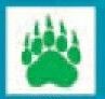 Sport/ Mascot Temporary Tattoo - Green 5 Toed Paw Print (1.5"X1.5")