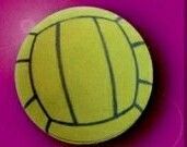 Cool Sports Standard Coolball Cool Water Polo Antenna Ball