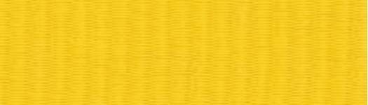 Snap Clip "V" Neck Ribbon 7/8"X32" - Yellow