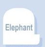 20 Mil Thick Elephant Jumbo Vinyl Magnet Memo Board (8"X8")