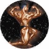 Photo Mylar Insert - 2" Male Bodybuilding