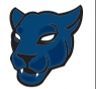 Stock Blue Panther Mascot Chenille Patch