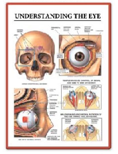 Pharma Compliant Doctors Office Products (Static Cling Poster)