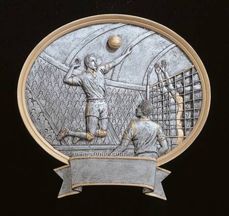 Volleyball, Male Oval Legend Plates - 8"