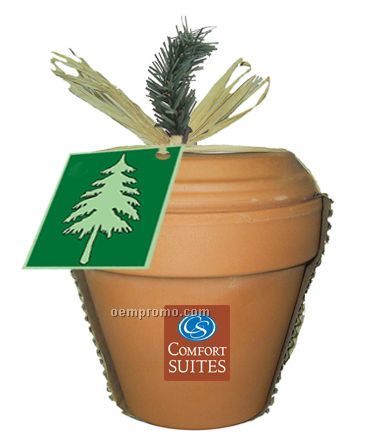 Deluxe Plant Kit With Pine Tree Or Blue Spruce Seeds