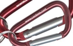 Imported Mini Laser Engraved Carabiners W/ Split Ring