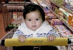 Child's Grocery Cart Protector
