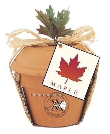 Deluxe Plant Kit With Maple Seeds