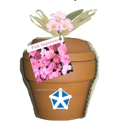 Deluxe Plant Kit With Pink Impatiens Seeds
