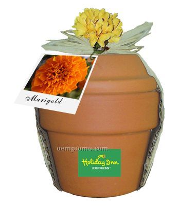 Deluxe Plant Kit With Marigold Seeds
