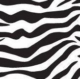 Zebras Stock Design Tissue Paper