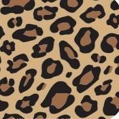 Leopard Stock Design Tissue Paper