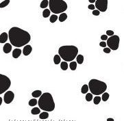 Puppy Paws Stock Design Tissue Paper