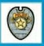 Safety Temporary Tattoo - Silver Police Badge W/ Yellow Star (1.5"X1.5")