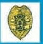 Safety Stock Temporary Tattoo - Gold Police Dept. Badge (1.5"X1.5")