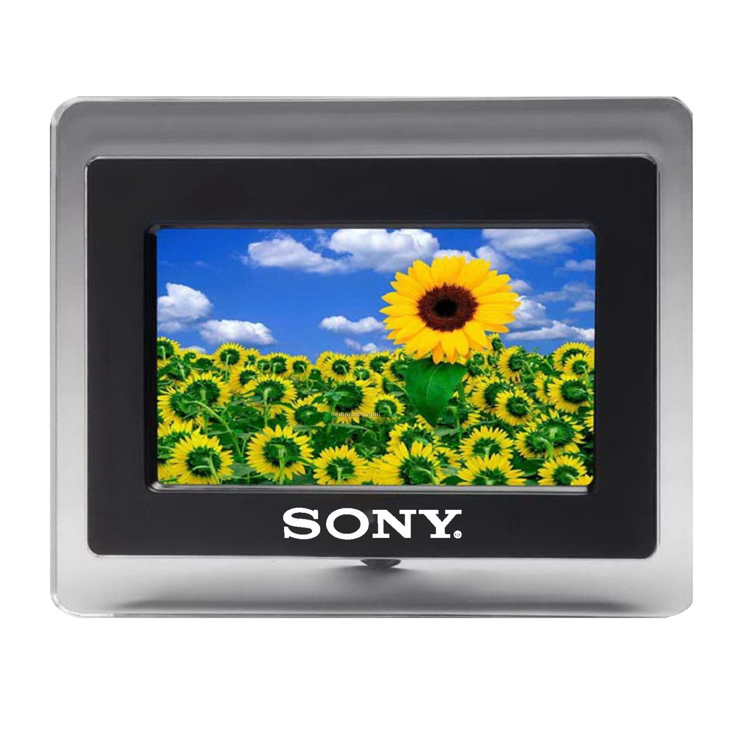 Digital Photo Frame & Media