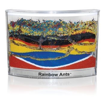 Rainbow Ants Habitat