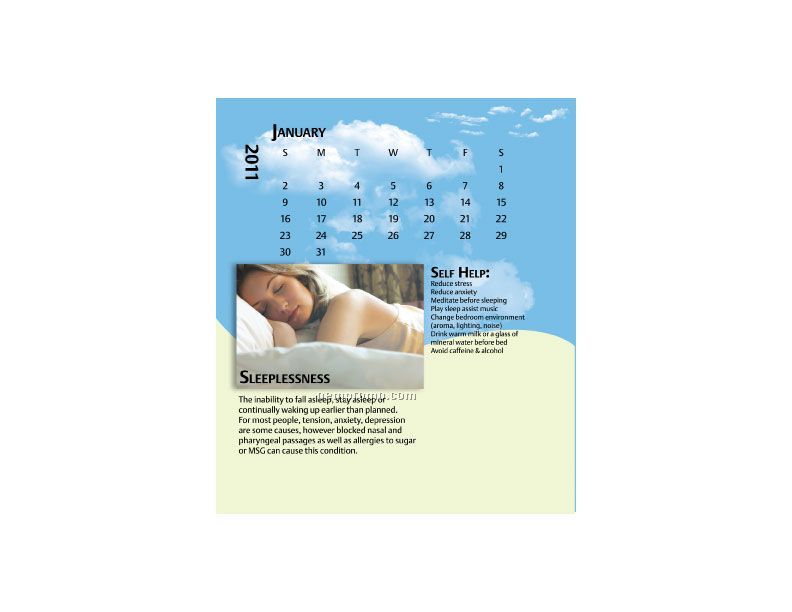 2011 Desk Jewel Case Calendar - Wellness