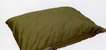 Brinkmann Solid Green Wag Bag Pet Bed