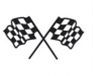 Stock Racing Flag Mascot Chenille Patch