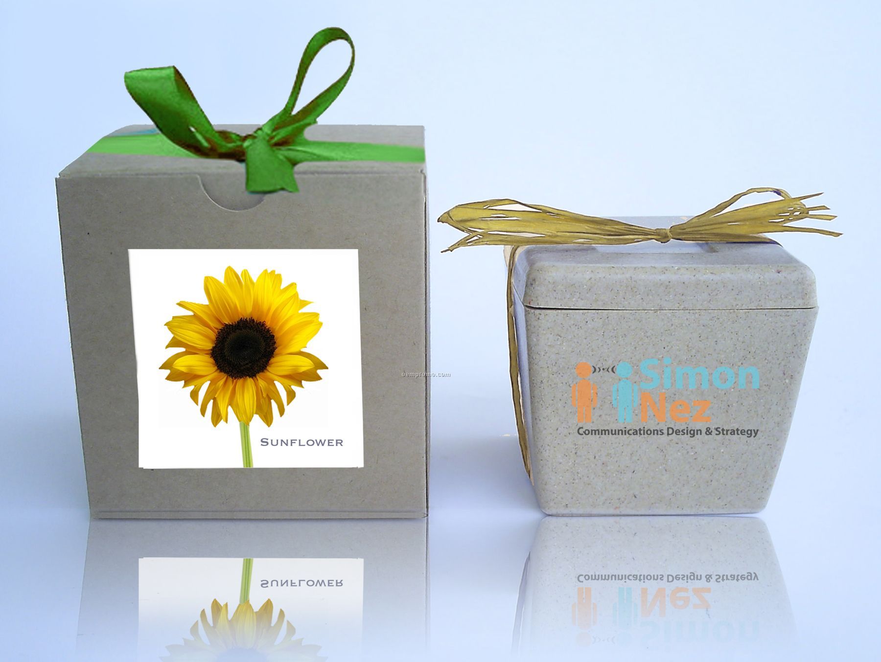 Sunflower Cube Kit