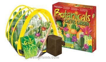 World Alive Botanicals Cactus Garden Mini Greenhouse Kit