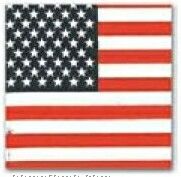 American Flag Stock Design Poly/ Cotton Bandanna (Screen Printed)