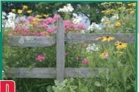 Collection Series Preferred Perennial Plot Flower Seeds