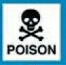 Safety Stock Temporary Tattoo - Poison Skull Symbol (1.5"X1.5")