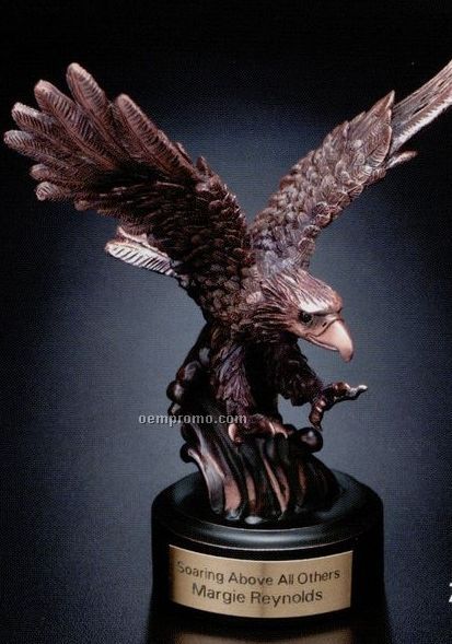 Eagle Gallery Landing Eagle Award