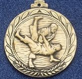2.5" Stock Cast Medallion (Judo Throw)