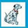 Safety Stock Temporary Tattoo - Dalmatian Dog