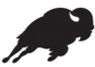 Stock Black & White Buffalo Mascot Chenille Patch