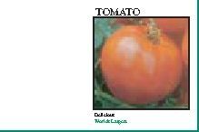 Impression Series Tomato Seeds