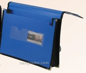 Assorted Pack Neon Pocket Folder