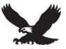 Stock Black & White Flying Eagle Mascot Chenille Patch