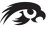 Stock Black & White Hawk Mascot Chenille Patch